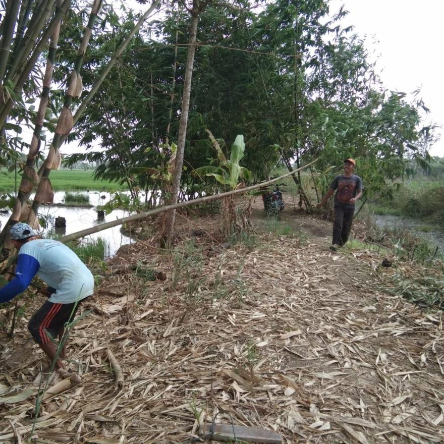 Persiapan menyambut HUT Republik Indonesia 